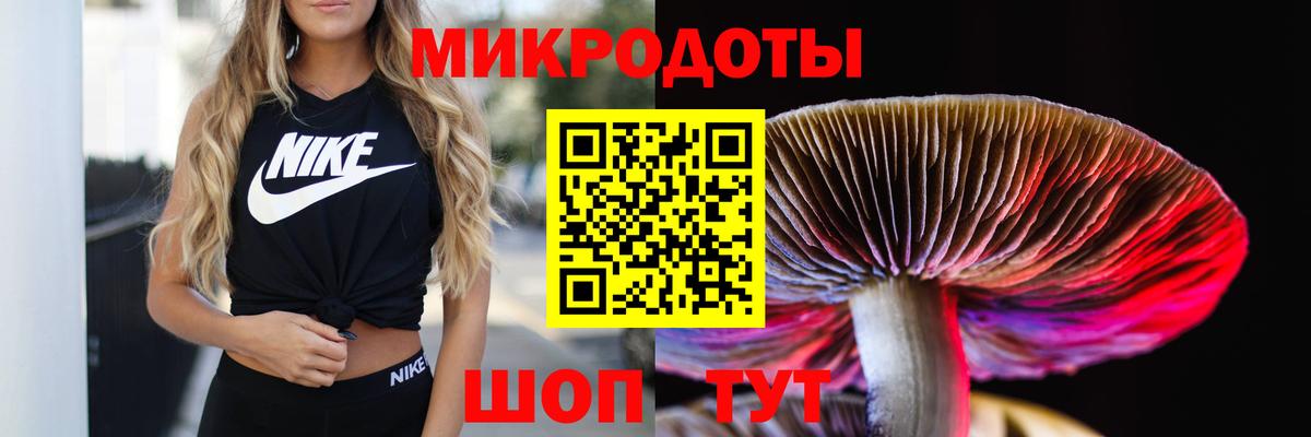 Псилоцибиновые грибы Magic Shrooms Можайск